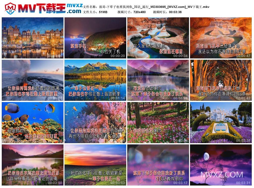 浪哥-下辈子也要找到你_国语_流行_MD303695